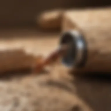 Professional Inspection for Termite Treatment Termite Treatment in Indianapolis - Professional Inspection