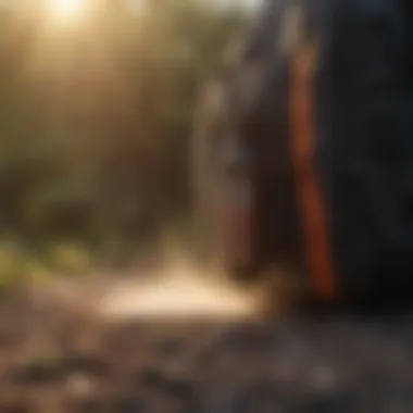 Testing bug spray backpack effectiveness