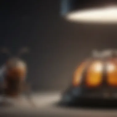 Comparison of Bug Light Types Comparison of commercial bug lights with standard options