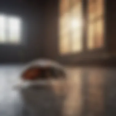 Commercial Pest Management