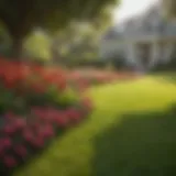 Lush Green Lawn with Vibrant Flowers Green lawn with vibrant flowers