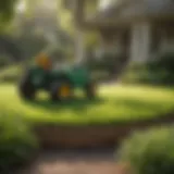Overview of True Green Lawn Service branding