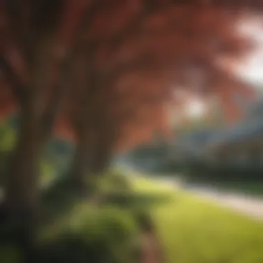 Tree and Shrub Care Expertise Healthy trees in Evans GA