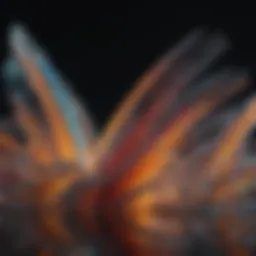 Abstract interpretation of Truly Nolen Number concept