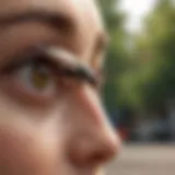 Innovative Pest Control Solutions by Truly Nolen