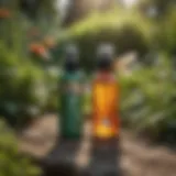 Organic flea repellent in a beautiful garden