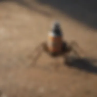Effective Pest Control Spray