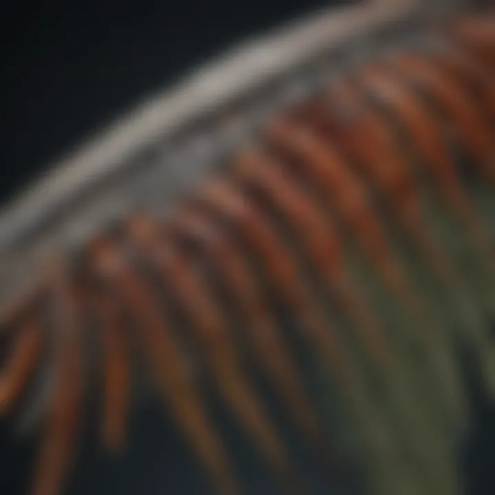 Detailed examination of insect wing structure