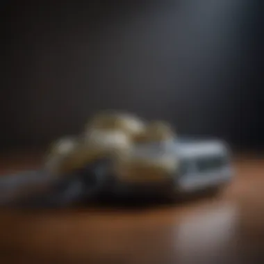 Technological Shield: Ultrasonic Snake Repellent Ultrasonic snake repellent device for indoor protection