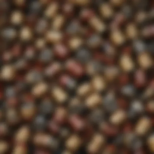 Different types of ant poison bait formulations displayed in various containers