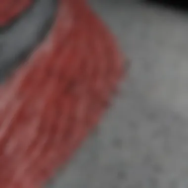 Texture of Anti Woodpecker Paint Close-up view of anti woodpecker paint texture on a surface.