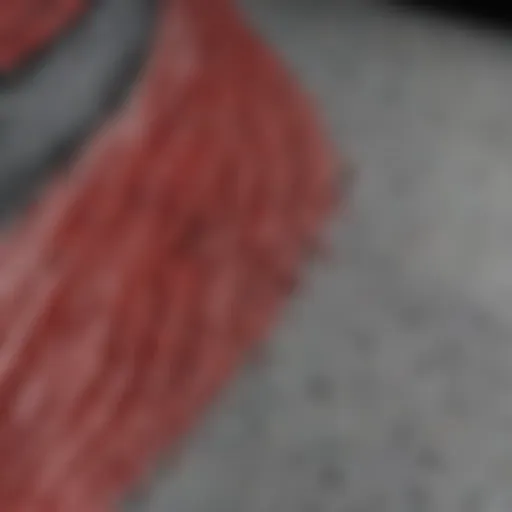 Texture of Anti Woodpecker Paint Close-up view of anti woodpecker paint texture on a surface.