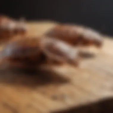 Bed Bugs Infestation on Wood Close-up view of bed bugs on wooden surface