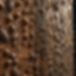 A visualization of moisture accumulation attracting termites