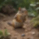 A chipmunk foraging for food in a natural setting