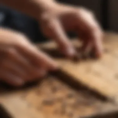 Expert Inspection of Drywood Termites Professional conducting a drywood termite inspection with specialized tools