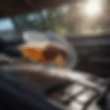 Flea fogger device in a car interior