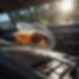 Flea fogger device in a car interior