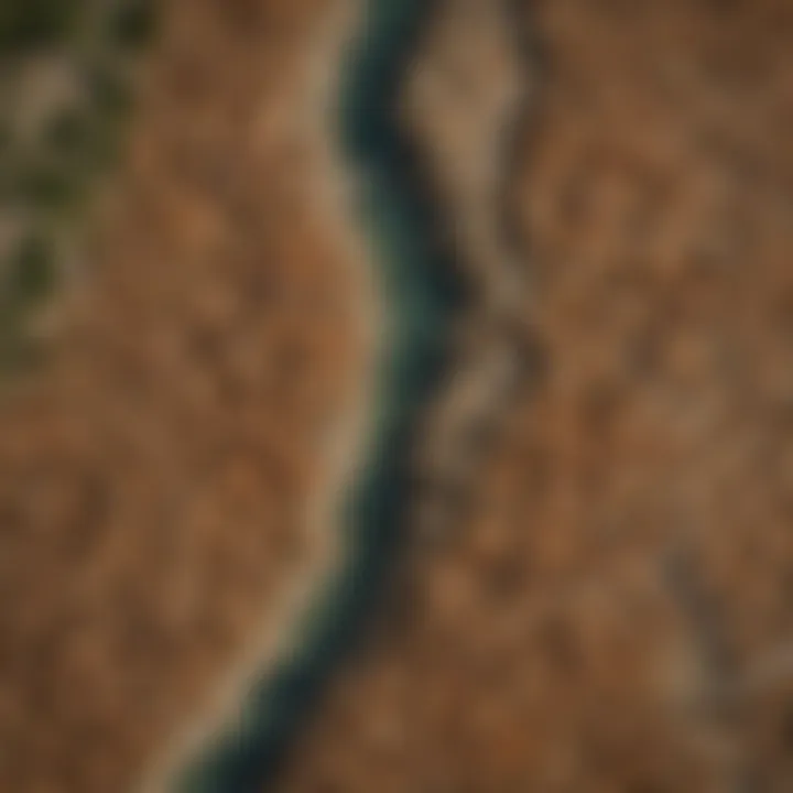 Map showing areas affected by Formosan termites in Louisiana