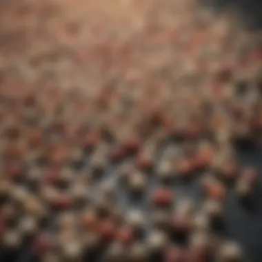 An assortment of various mice bait pellets showcased on a surface.