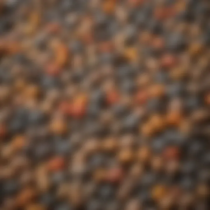 Close-up view of a single bait pellet highlighting its texture and ingredients.