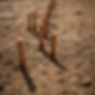 Illustration showing how termite stakes are installed in the ground