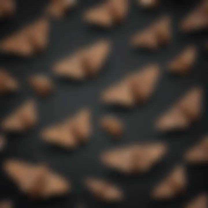 Illustration of little brown moths lifecycle stages