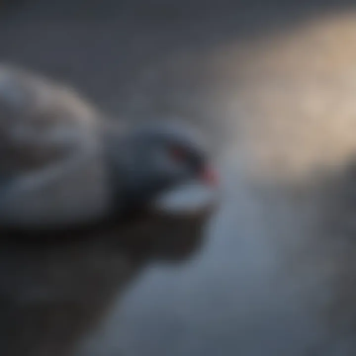 Close-up of reflective surfaces
