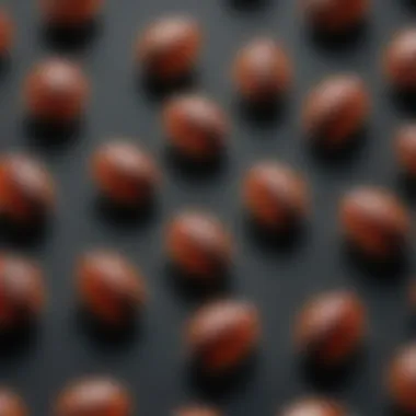 Life Cycle of Ticks Illustration of a tick life cycle showing different stages