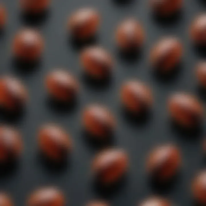 Life Cycle of Ticks Illustration of a tick life cycle showing different stages