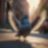 Pigeon repelling sound waves illustration