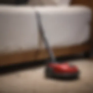 Understanding Vacuum Cleaner Constraints in Bed Bug Elimination Vacuum cleaner limitations in pest eradication