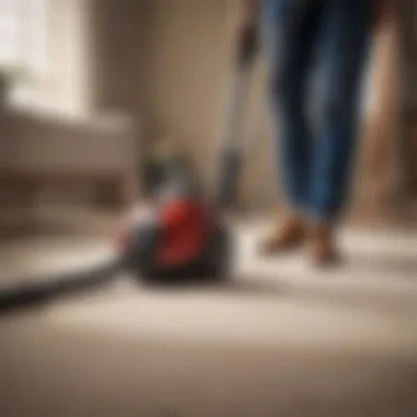 Exploring Vacuuming as a Strategy for Bug Infestation Vacuuming as a method for bug infestation