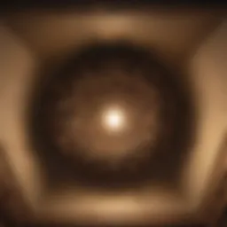 Illustration of wasp nest in a ceiling