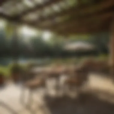 Creating a Safe Haven from Wasp Intrusions Wasp-Proof Outdoor Dining Area