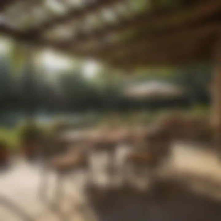 Creating a Safe Haven from Wasp Intrusions Wasp-Proof Outdoor Dining Area