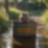 Innovative Rat Trap with Water