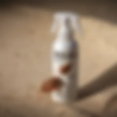 Detailed View of Bedlam Bed Bug Spray A close-up of Bedlam Bed Bug Spray with its label clearly visible