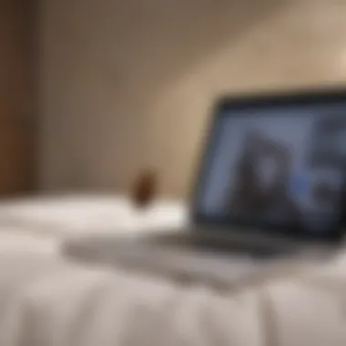 Online Shopping for Bed Bug Solutions A laptop displaying an online shopping cart with Bedlam Bed Bug Spray