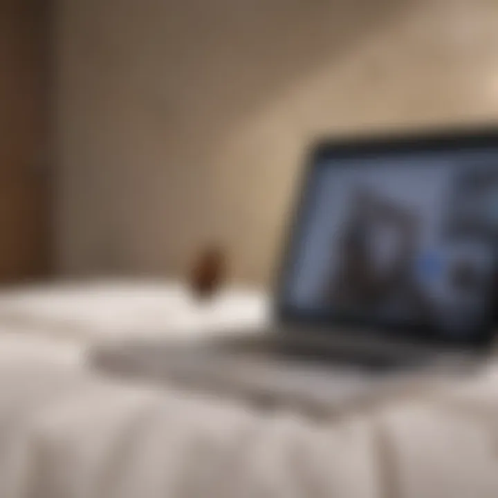 Online Shopping for Bed Bug Solutions A laptop displaying an online shopping cart with Bedlam Bed Bug Spray