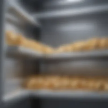 White maggots on spoiled food in refrigerator