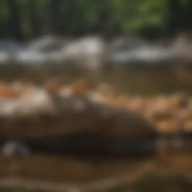 Adaptation Strategies in Action Whitewater termites displaying unique behaviors that contribute to their survival