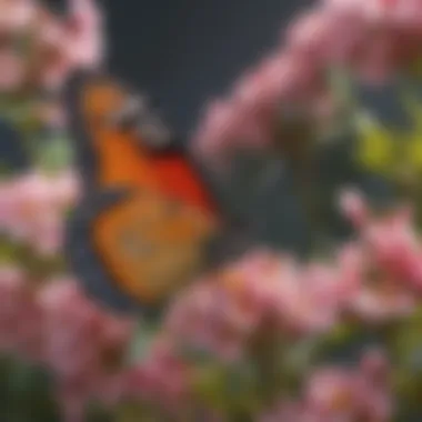 Colorful Butterfly Perched on Blossom Ethereal Butterfly on Vibrant Flower