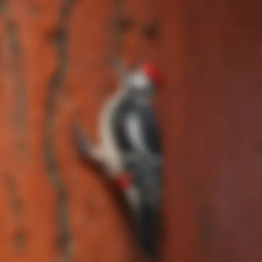 A close-up view of woodpecker deterrent paint texture