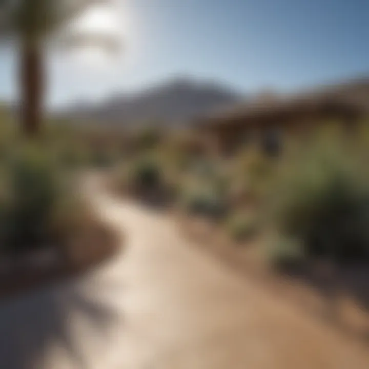 Xeriscaping Techniques Xeriscaping Techniques for Weed Control in Maricopa AZ