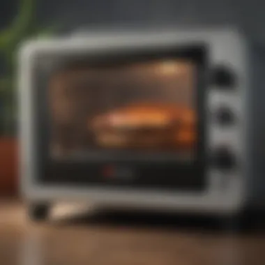 Advanced Technology Features of ZappBug Oven 2 Efficient ZappBug Oven 2 Features