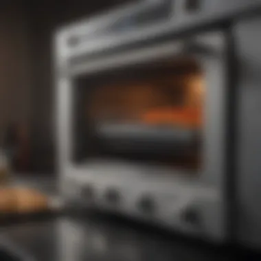Longevity Maintenance Strategies for ZappBug Oven 2 Maintenance Tips for ZappBug Oven 2