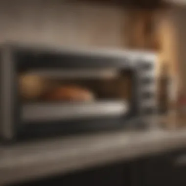 Effective Operation Guidelines for ZappBug Oven 2 Proper Usage Instructions for ZappBug Oven 2